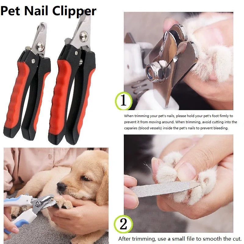 Classic Claw Scissors