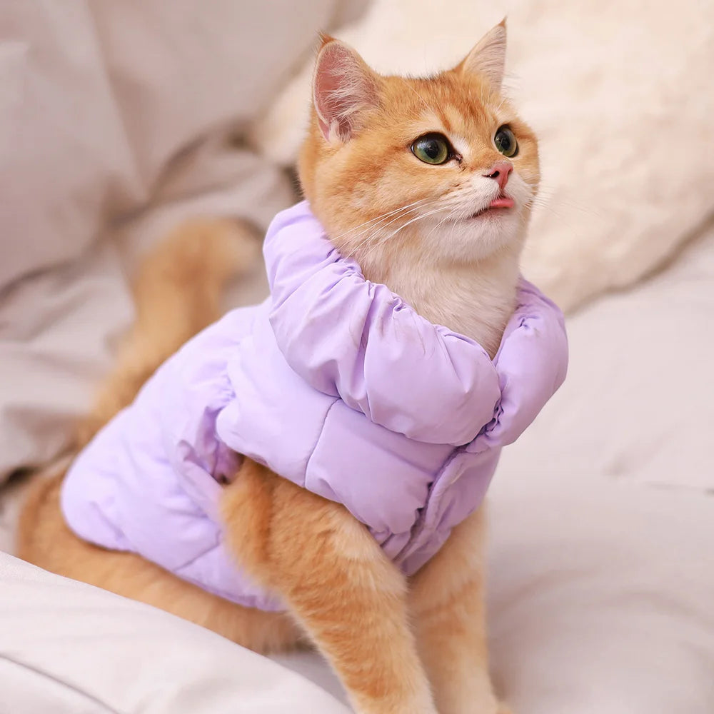 Padded Winter Puffer Coat