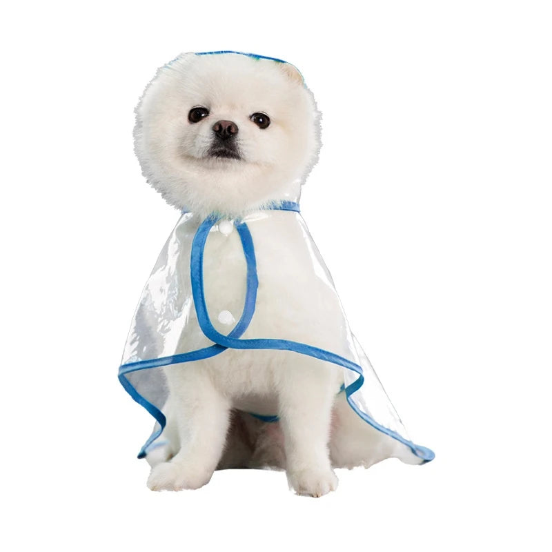 Clear Hooded Raincoat
