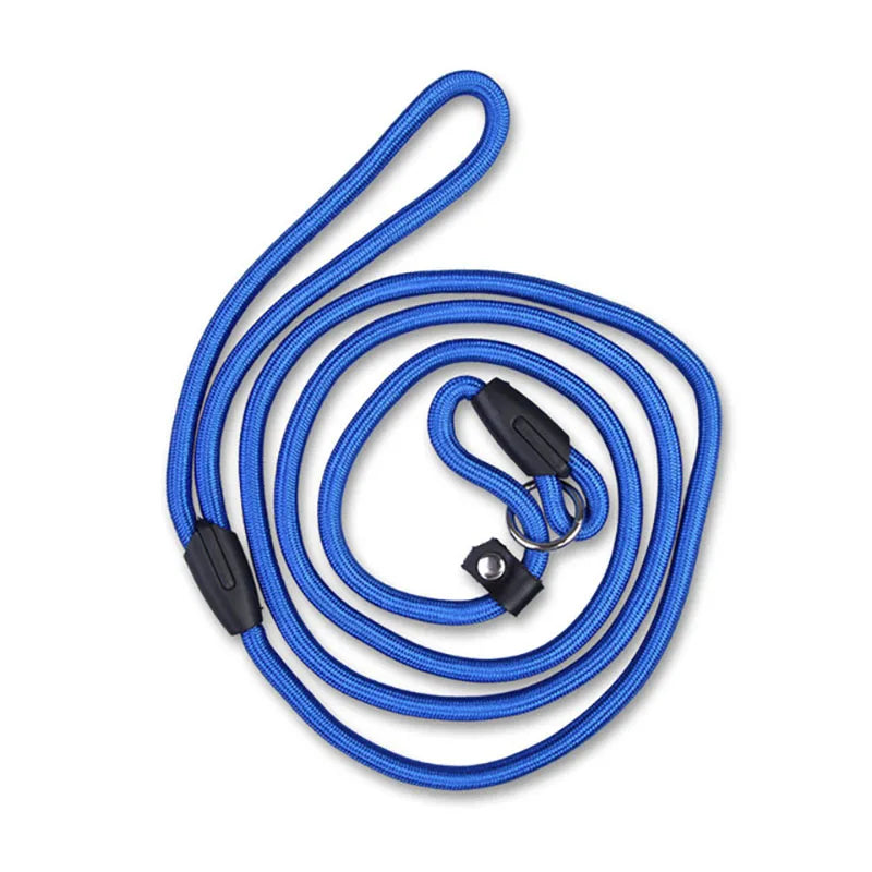 Everyday Nylon Lead (130cm)