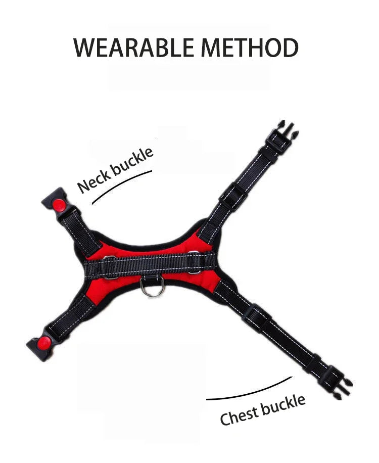 Quick-Release Vest Harness