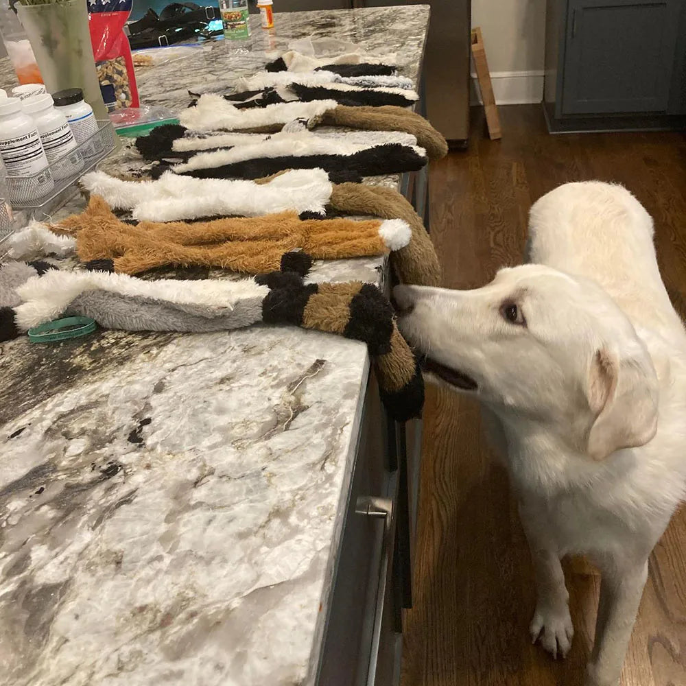 Stuffing-Free Crinkle Animal Toy
