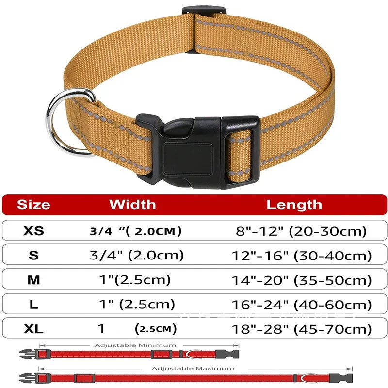 Decorative Small Dog Collar