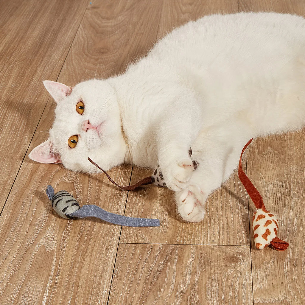Rattle Mice with Catnip