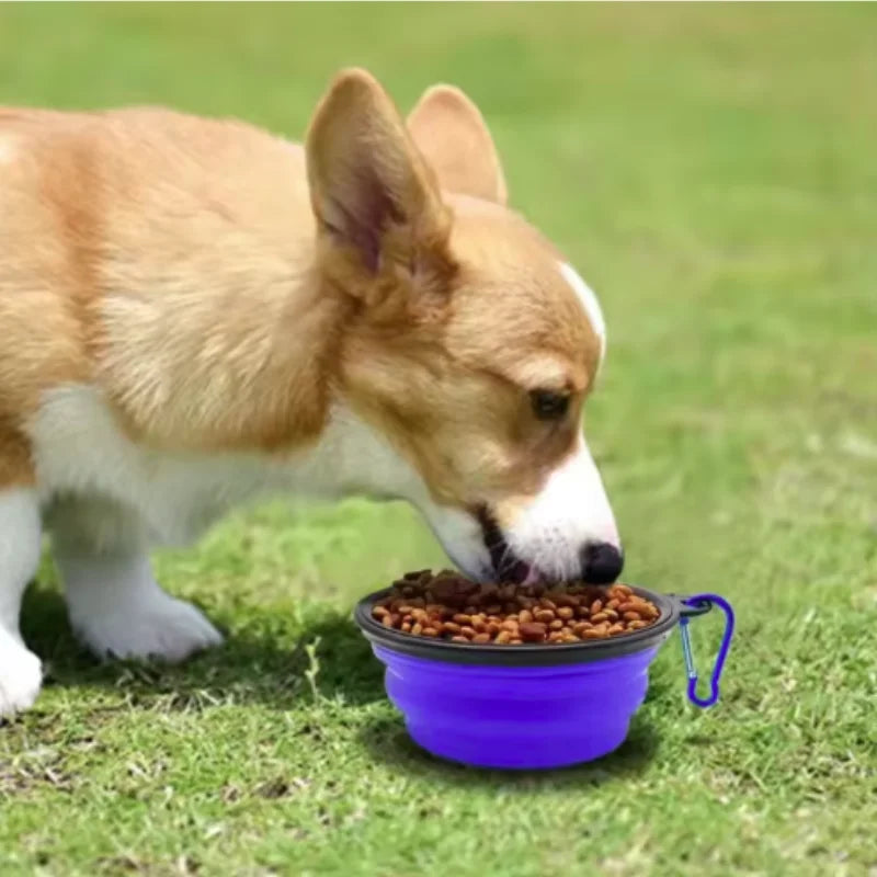Collapsible Travel Food Bowl