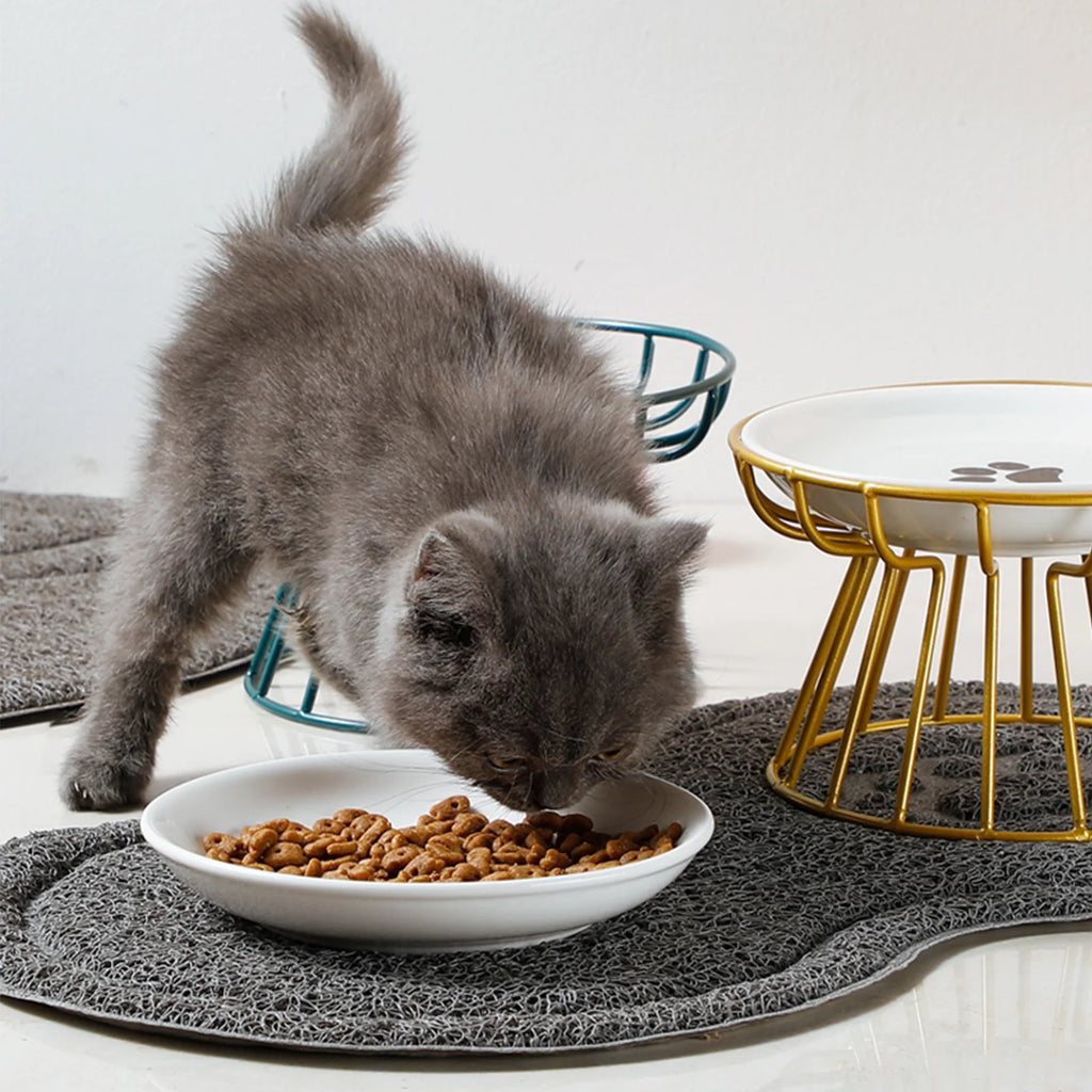 Raised Ceramic Cat Bowl