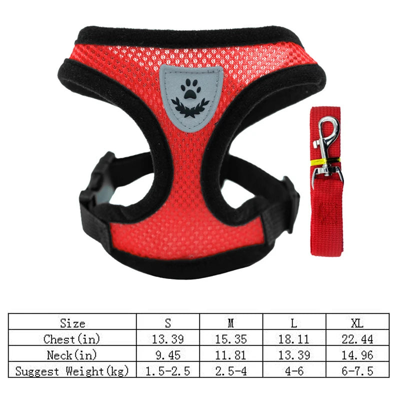 Summer Mesh Harness & Lead