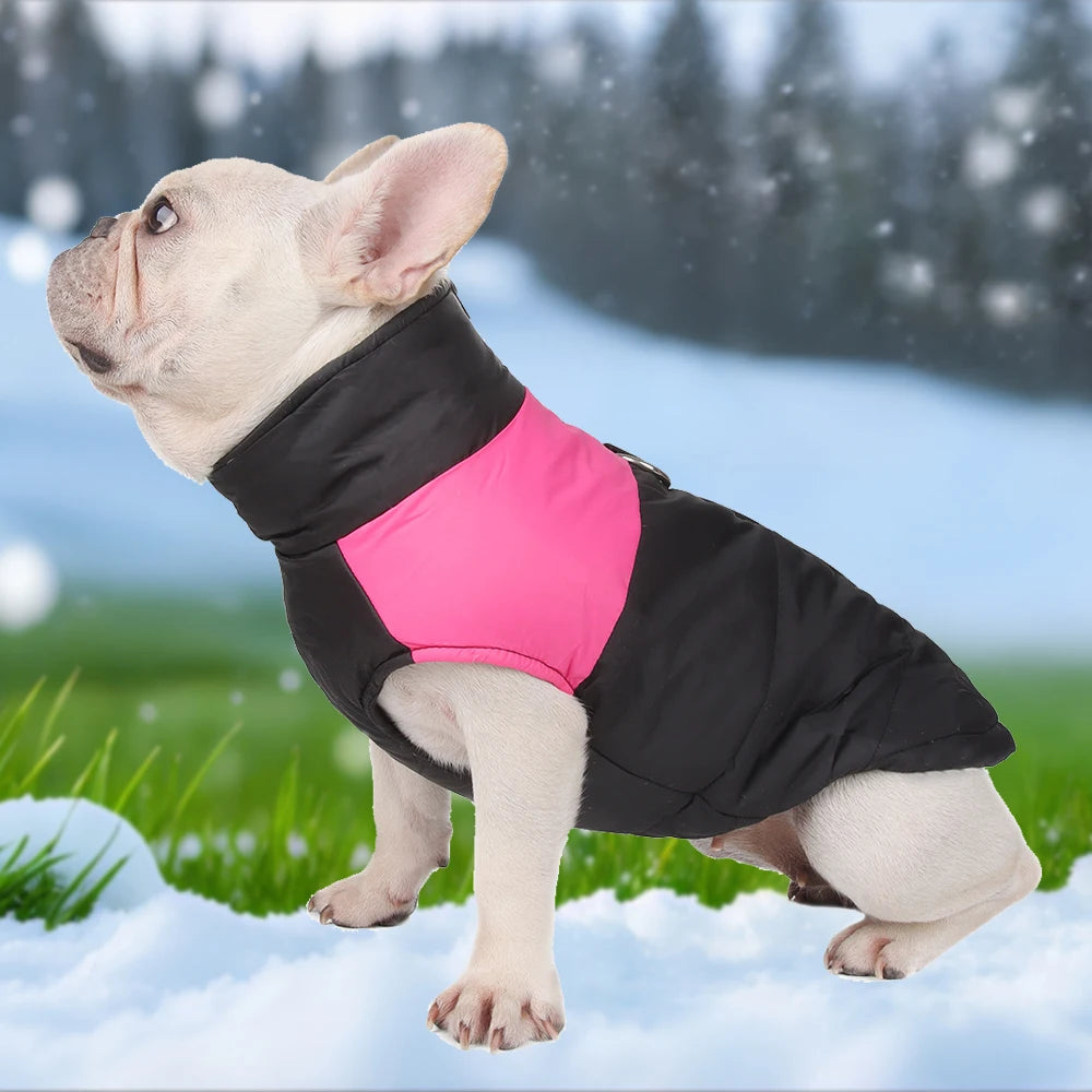 Windproof Padded Jacket with D-Ring