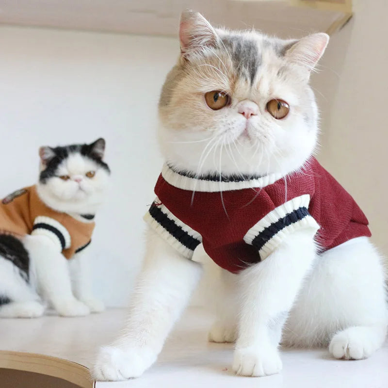 Cosy Knit Pullover