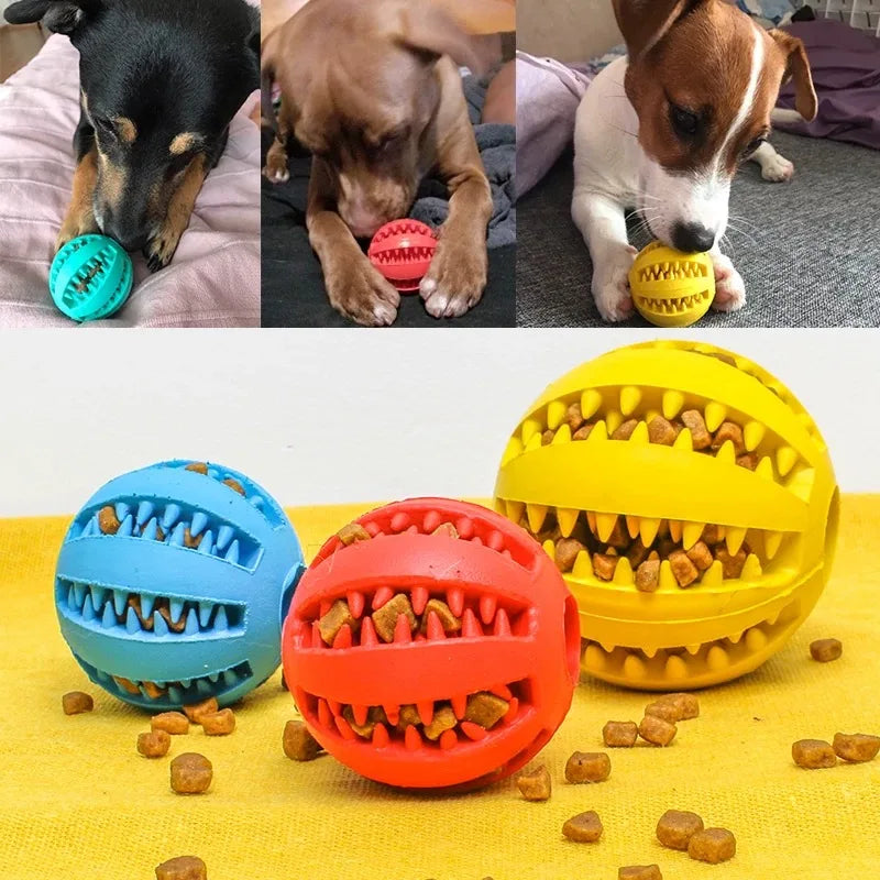 Treat-Dispensing Puzzle Ball