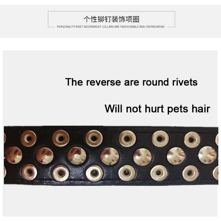 Studded Faux Leather Collar