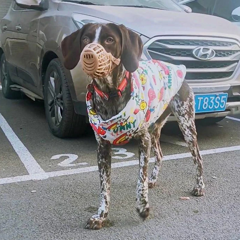 Waterproof Jacket for Big Dogs