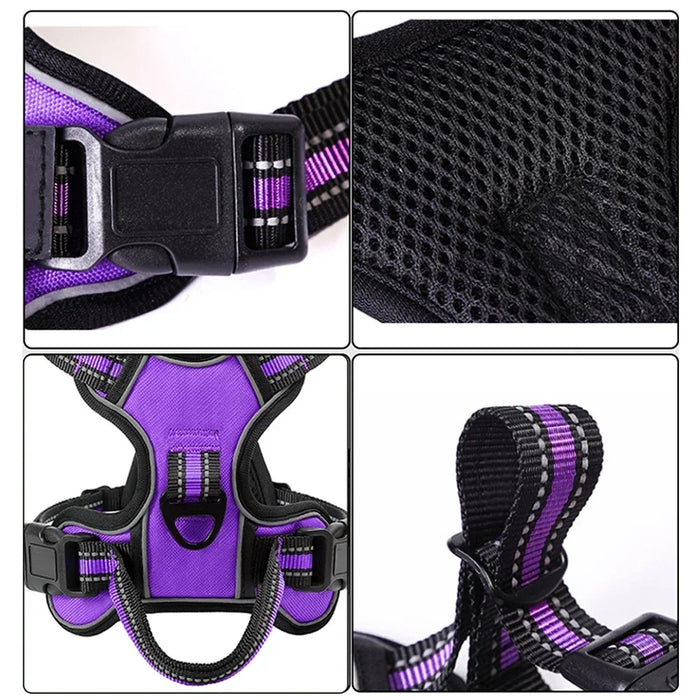 Padded No-Pull Dog Harness