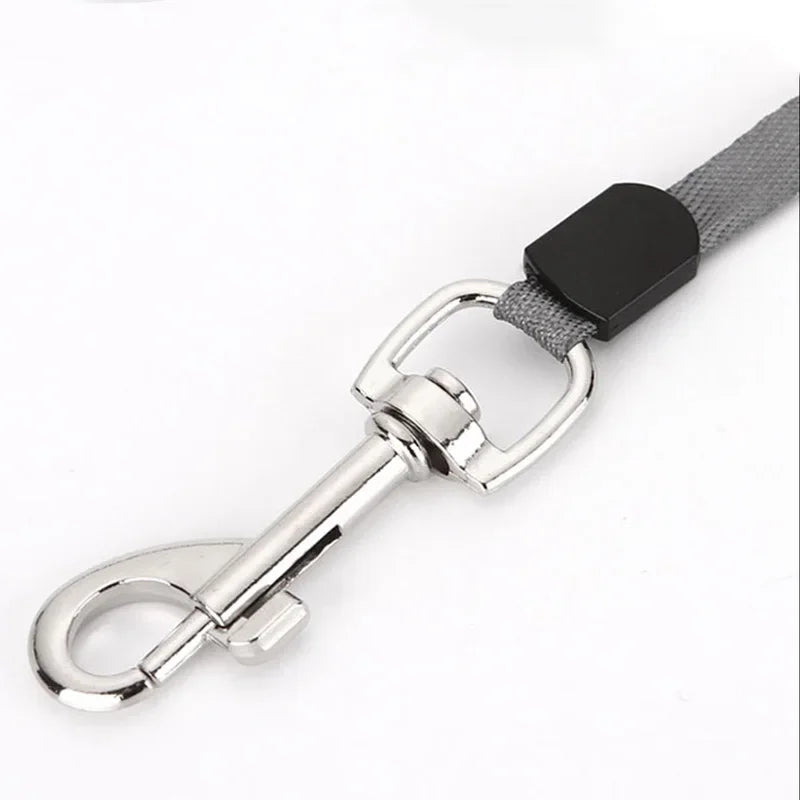 Compact Retractable Lead for Small Dogs