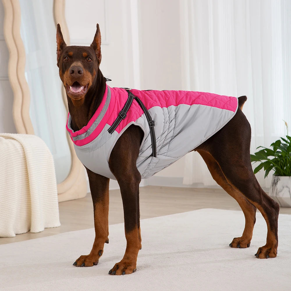 Winter Jacket with Built-In Harness