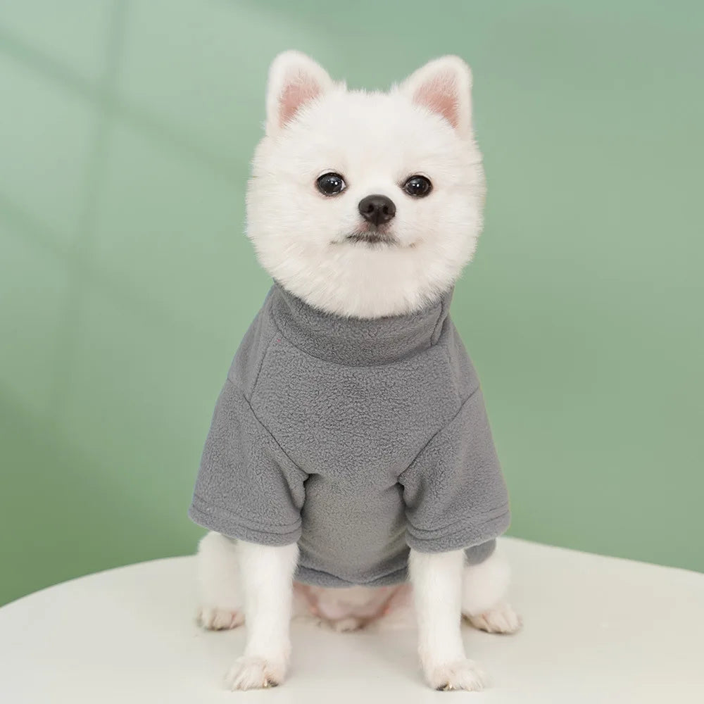 Classic Solid Hoodie
