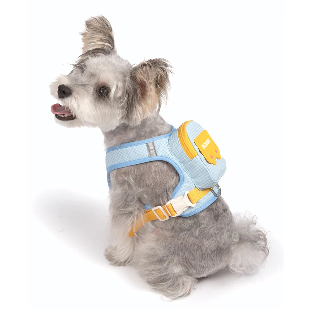 Mini Backpack Harness & Lead