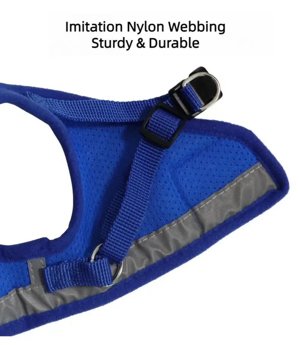 Cat Mesh Harness & Lead Set