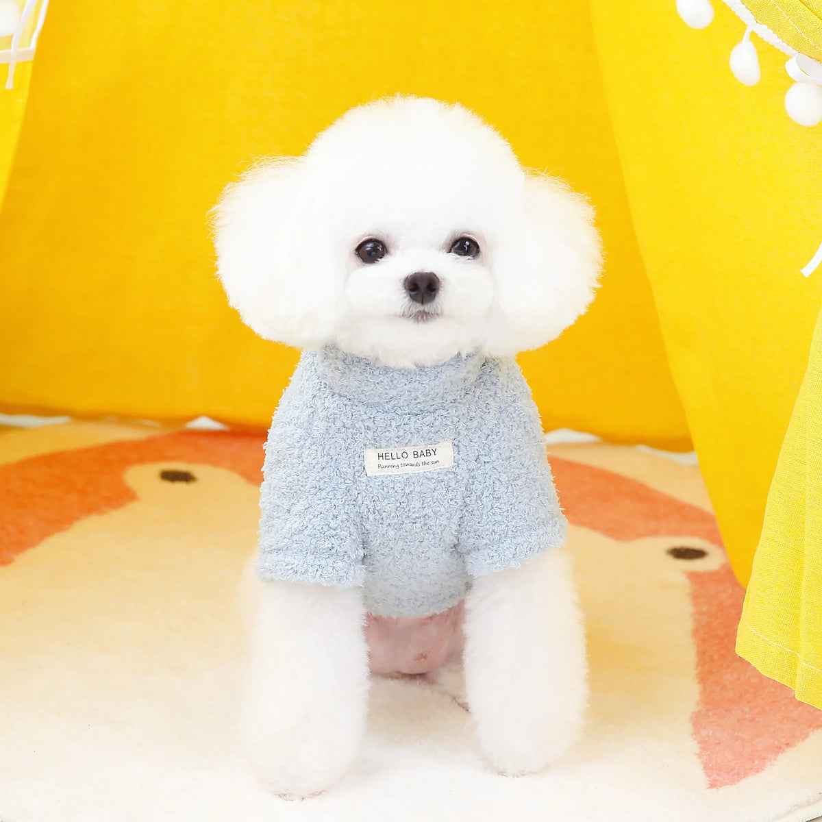 Fluffy Plush Winter Coat