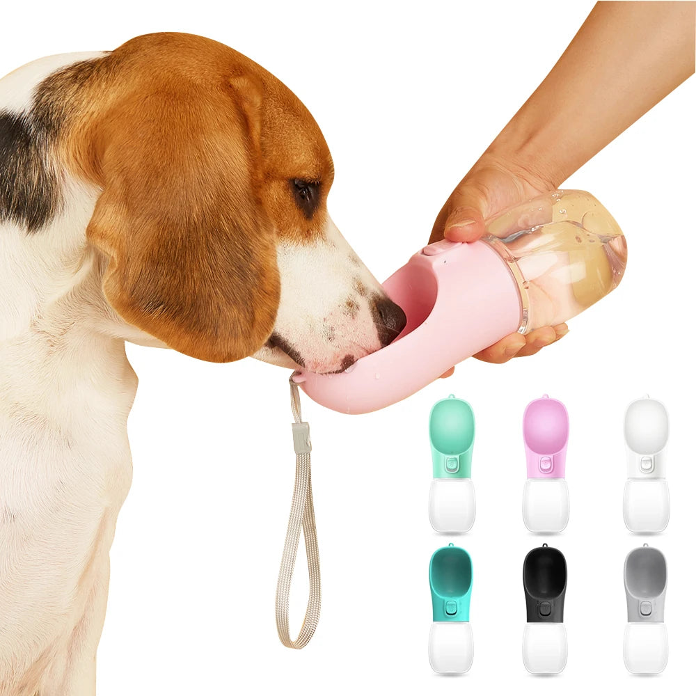 Leak-Proof Travel Water Bottle