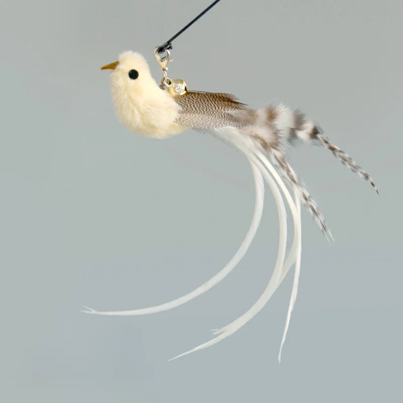Suction Cup Feather Wand