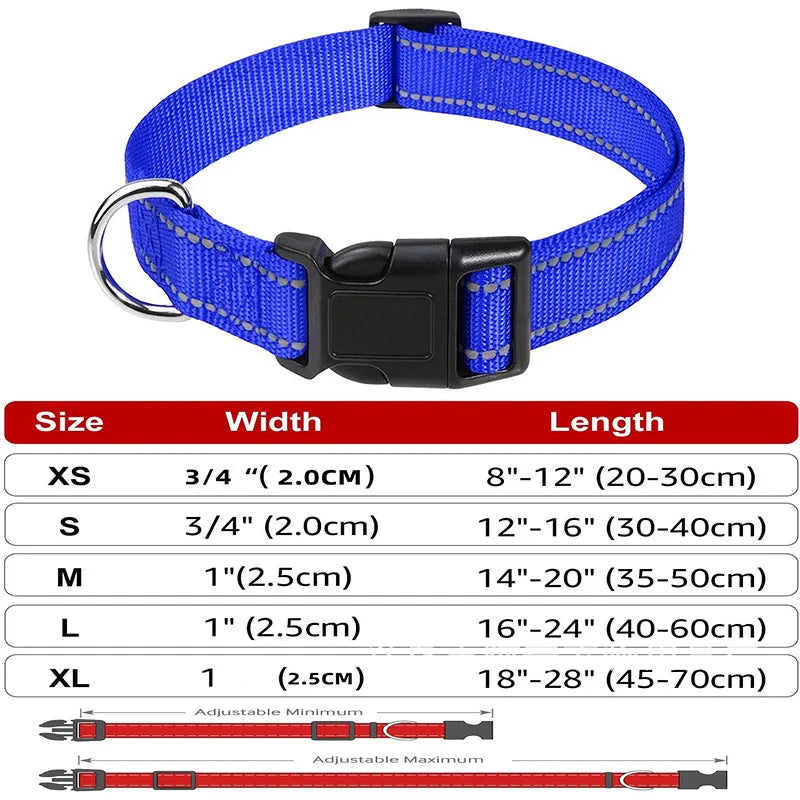 Decorative Small Dog Collar