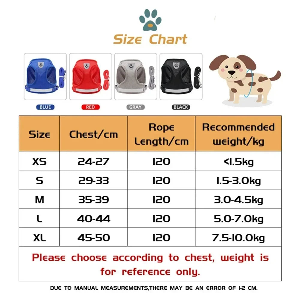 Cat Mesh Harness & Lead Set