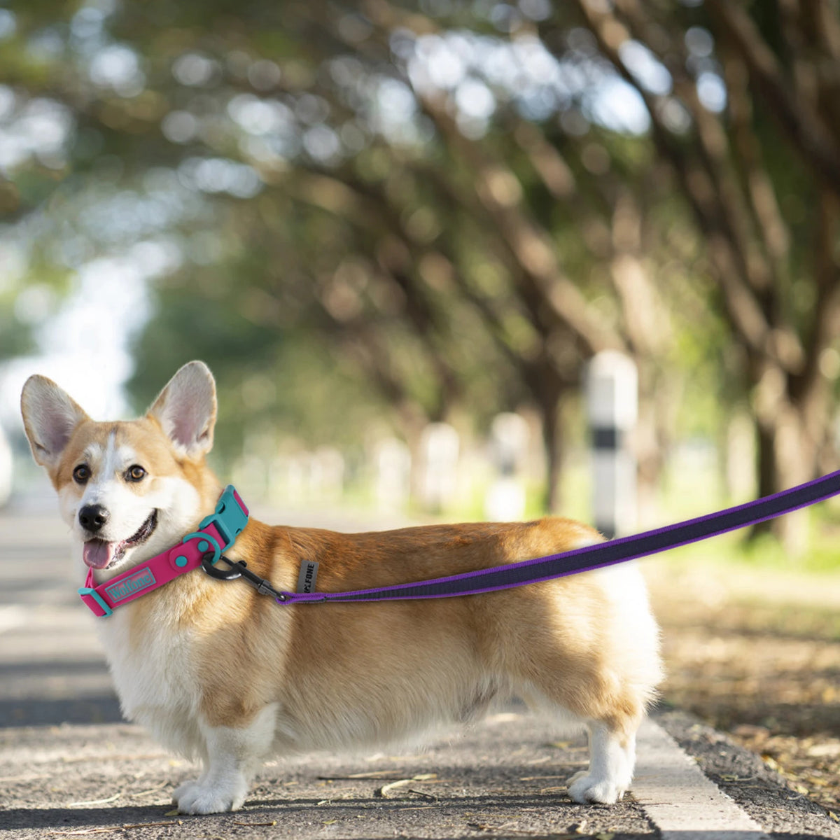 Long Training Lead (1.5m–15m)