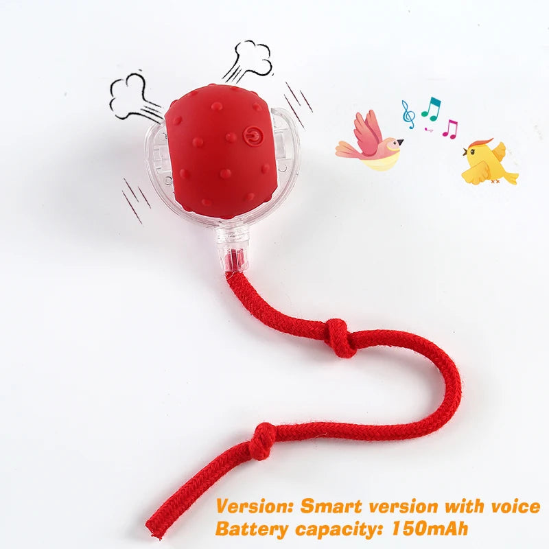 Self-Rolling Smart Ball (USB)