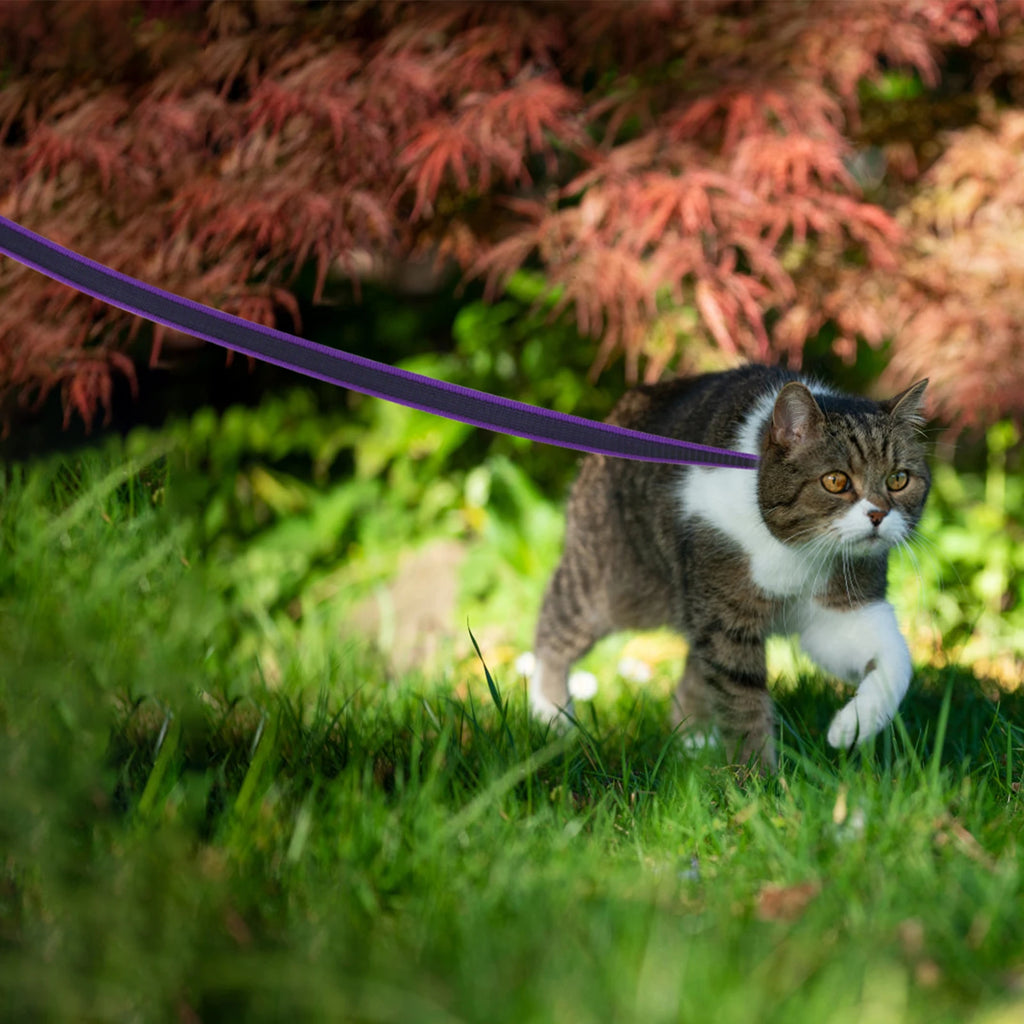 Long Training Lead (1.5m–15m)