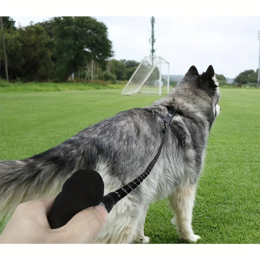Reflective Padded-Handle Lead