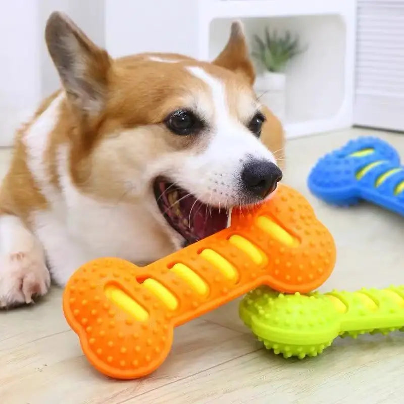 Squeaky Rubber Chew Bone