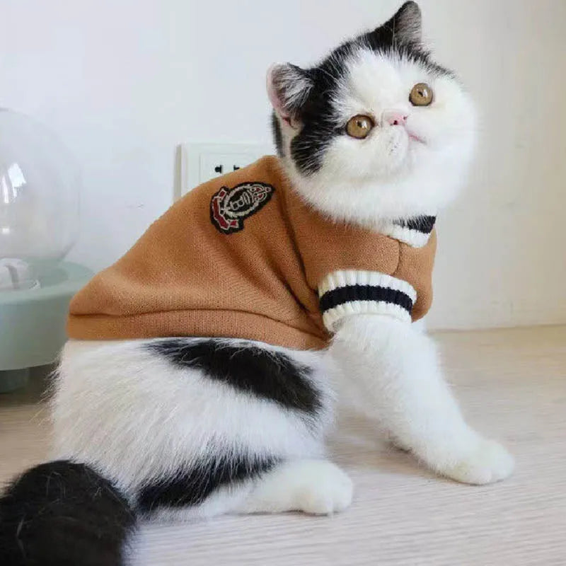 Cosy Knit Pullover