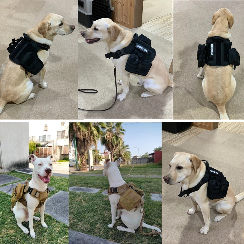 Tactical MOLLE Harness Set