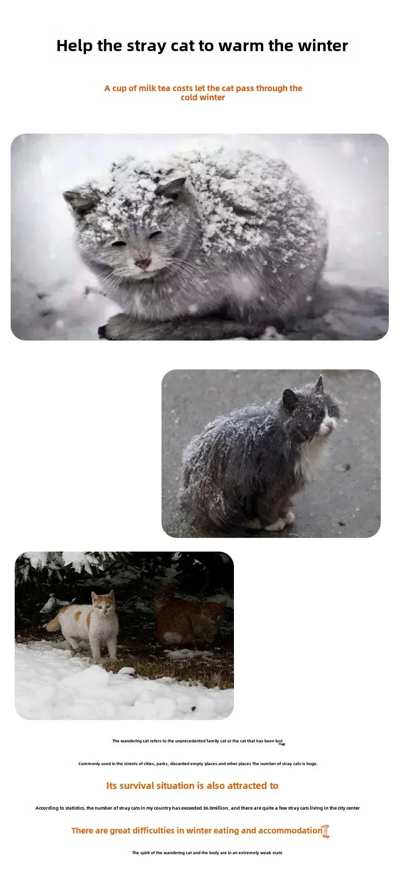 Winter Outdoor Cat House