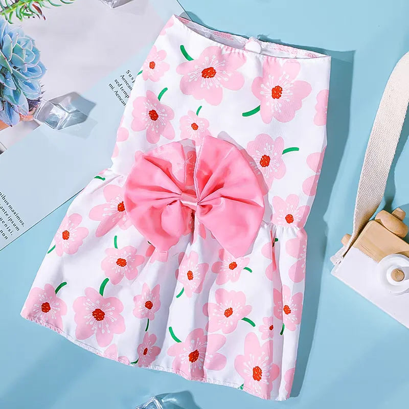 Bow & Lace Summer Dress