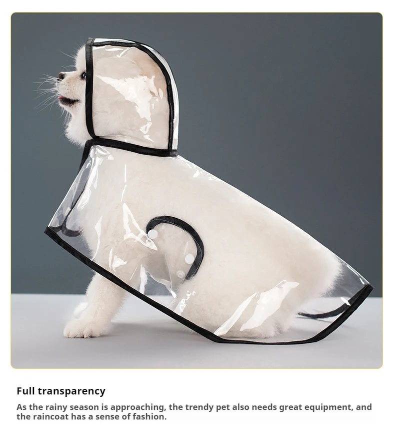 Clear Hooded Raincoat