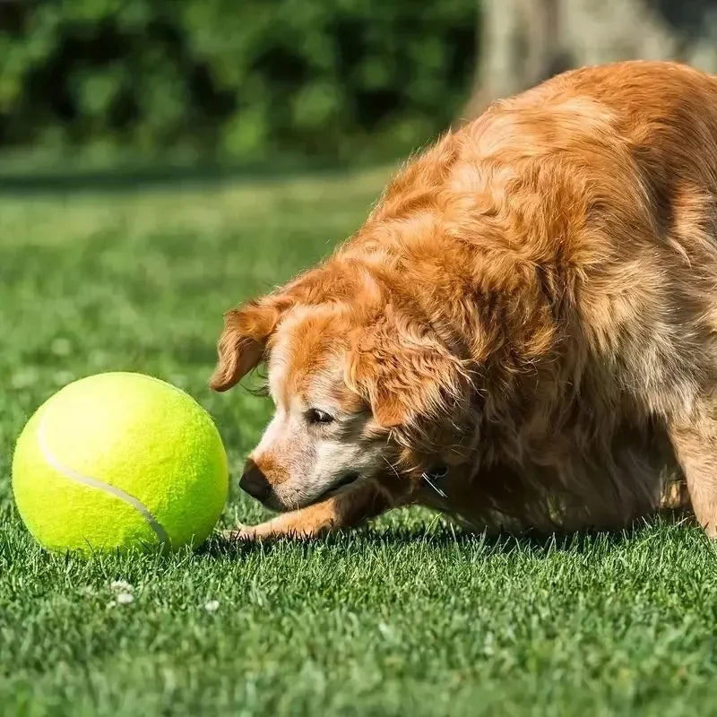 Giant Inflatable Tennis Ball