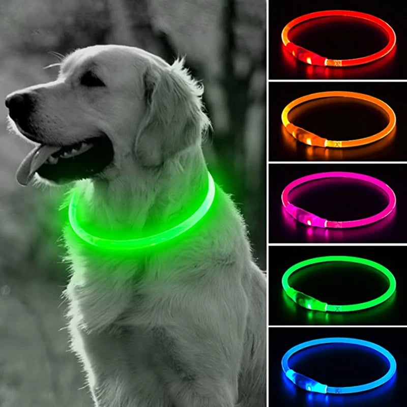 USB Rechargeable LED Collar