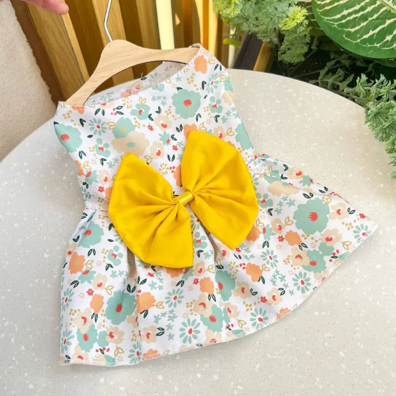 Bow & Lace Summer Dress