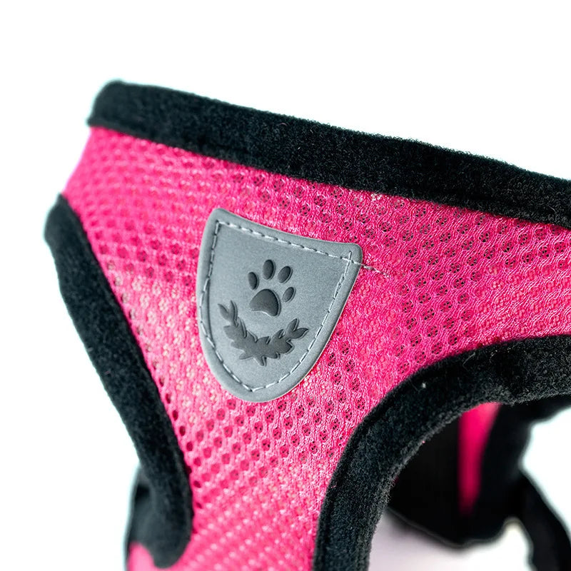 Summer Mesh Harness & Lead