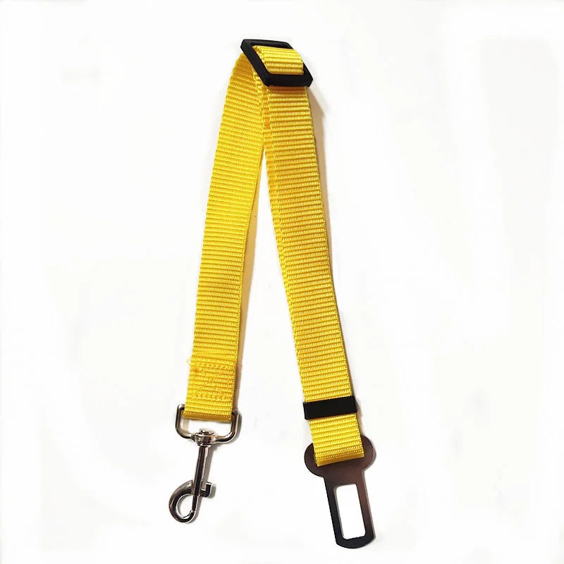 Car Seat Belt Lead with Clip