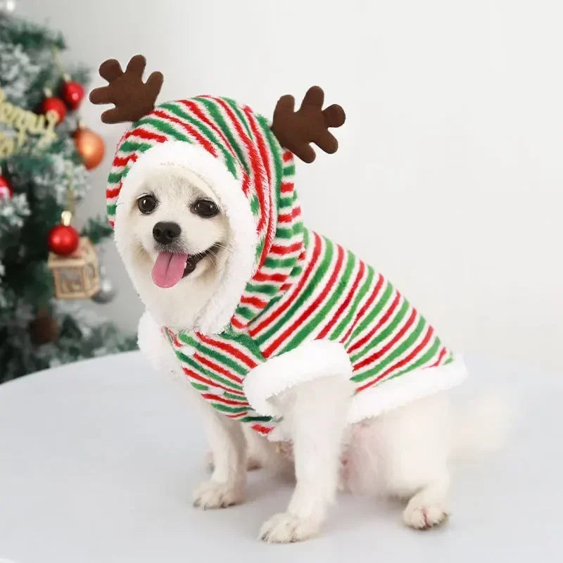 Christmas Elk & Santa Outfit