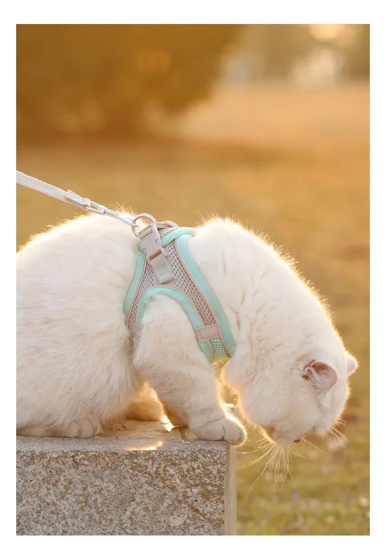 Breathable Vest Harness for Small Pets