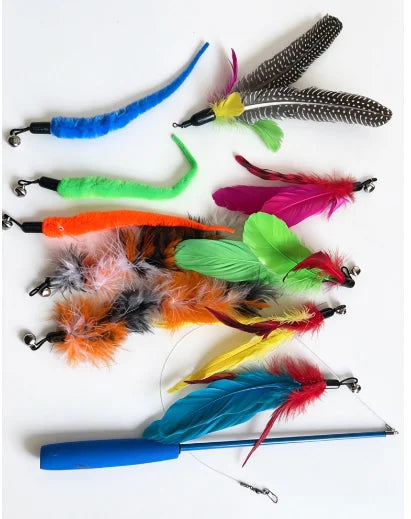 Retractable Feather Wand (11 Pieces)
