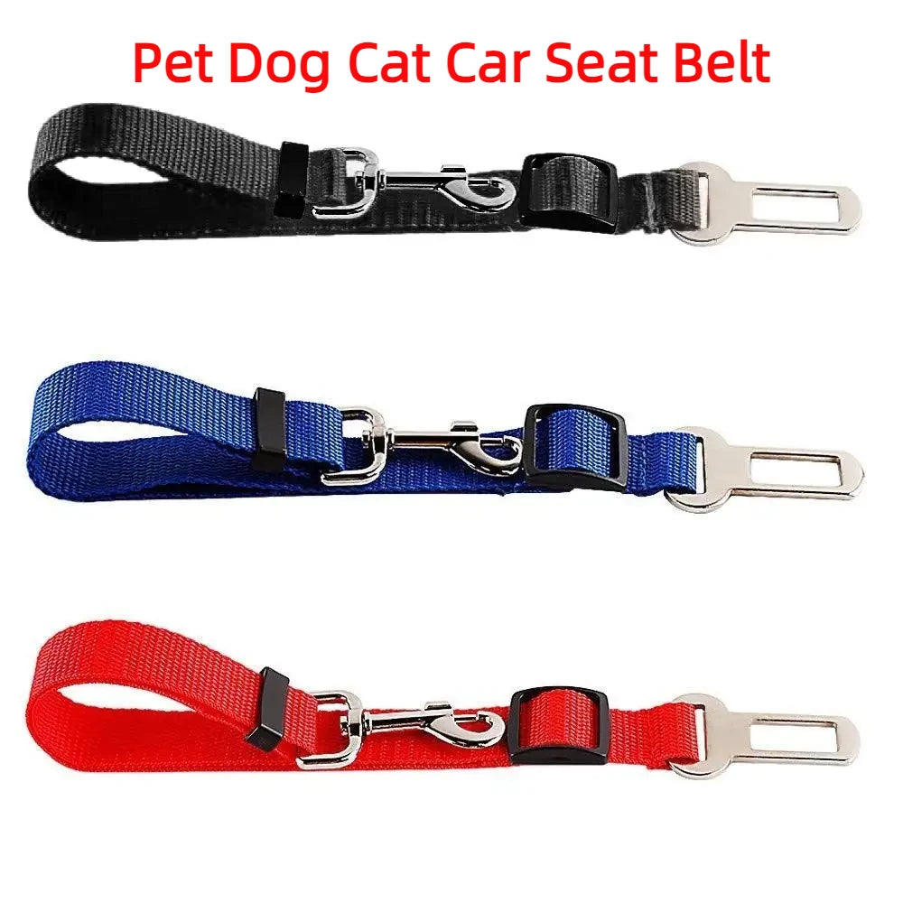 Car Seat Belt Lead with Clip