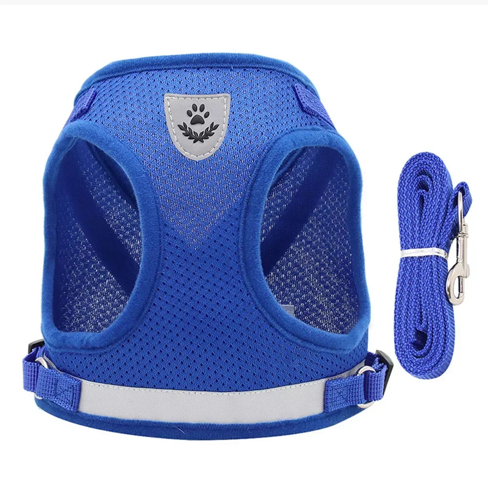 Cat Mesh Harness & Lead Set