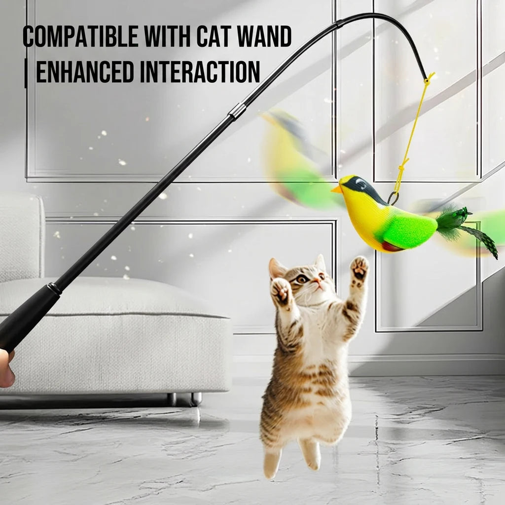 Wall-Hanging Chirping Bird Teaser