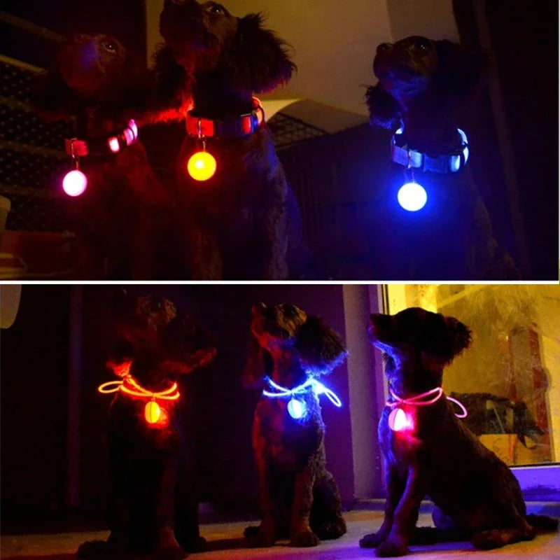 LED Glow Pendant Collar