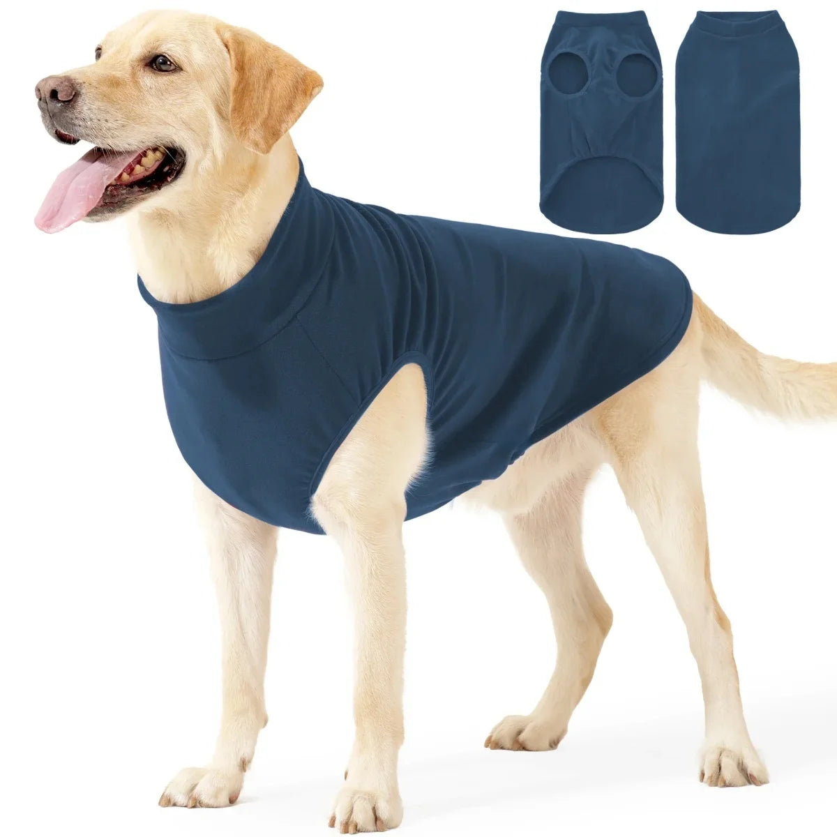 Stretchy Everyday Jumper